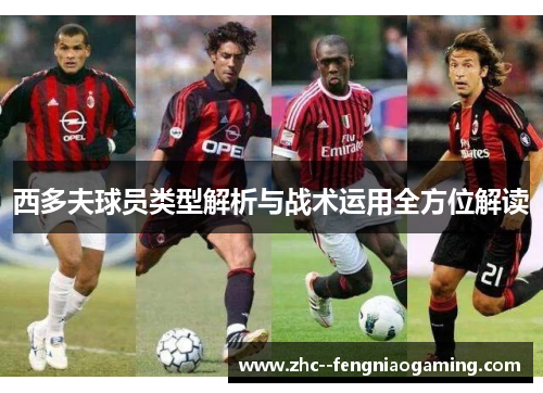 西多夫球员类型解析与战术运用全方位解读