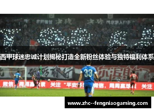 西甲球迷忠诚计划揭秘打造全新粉丝体验与独特福利体系 西甲球迷忠诚计划揭秘打造全新粉丝体验与独特福利体系