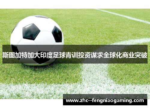 斯图加特加大印度足球青训投资谋求全球化商业突破 斯图加特加大印度足球青训投资谋求全球化商业突破