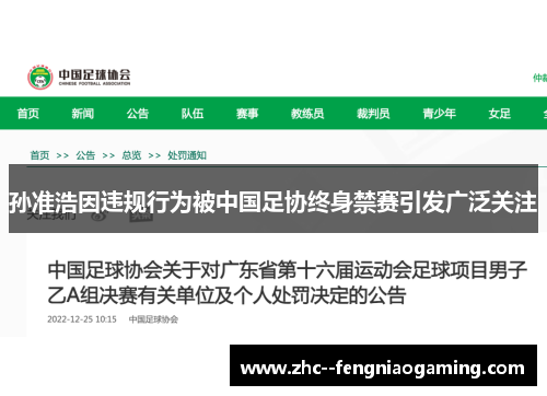 孙准浩因违规行为被中国足协终身禁赛引发广泛关注 孙准浩因违规行为被中国足协终身禁赛引发广泛关注