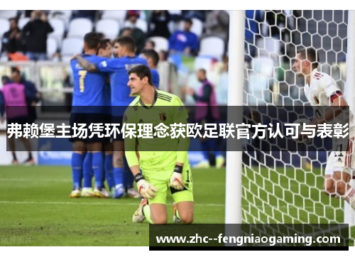 弗赖堡主场凭环保理念获欧足联官方认可与表彰 弗赖堡主场凭环保理念获欧足联官方认可与表彰