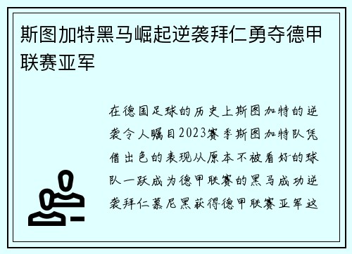斯图加特黑马崛起逆袭拜仁勇夺德甲联赛亚军 斯图加特黑马崛起逆袭拜仁勇夺德甲联赛亚军
