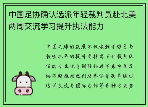 中国足协确认选派年轻裁判员赴北美两周交流学习提升执法能力 中国足协确认选派年轻裁判员赴北美两周交流学习提升执法能力