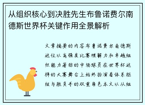 从组织核心到决胜先生布鲁诺费尔南德斯世界杯关键作用全景解析